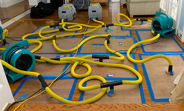 Professional Water Damage Repair technician working in Lewiston, ME